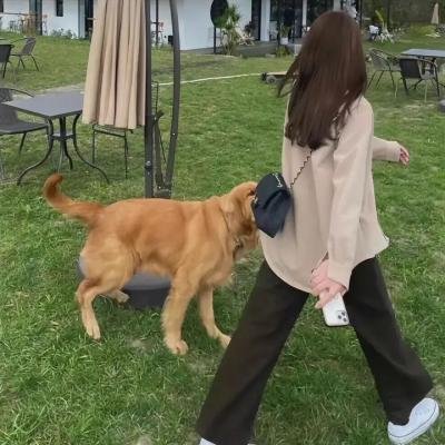 打黑风暴